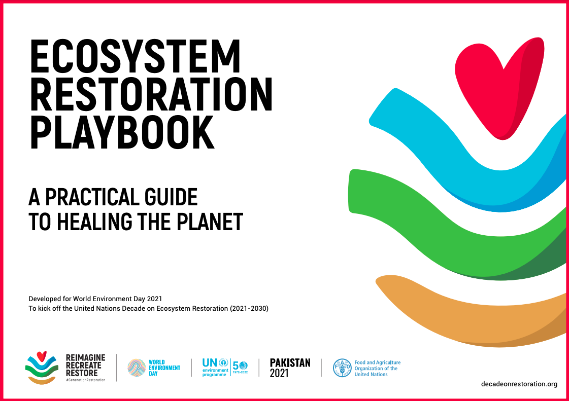 practical guide